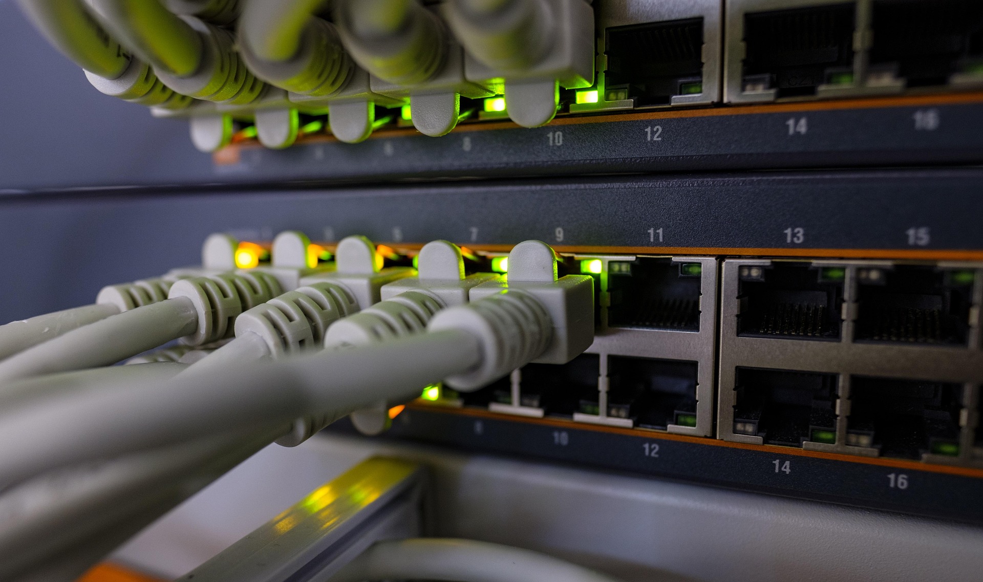 Close up view of network equipment with attached cables and port lights